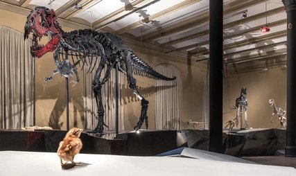 Dinosaur skeleton Tristan in Berlin, Museum of Natural History Dinosaur skeleton Tristan in Berlin, Museum of Natural History