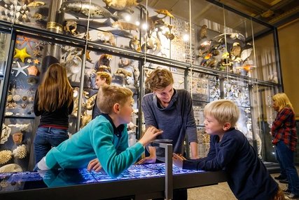 Museo de Historia Natural de Berlín La familia en el Museo de Naturkunde de Berlín - una atracción para los niños