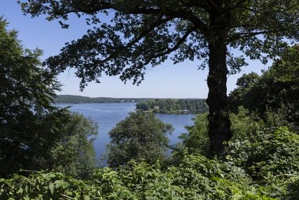 Pfaueninsel