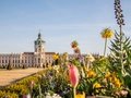 Der Park vom Schloss Charlottenburg im Frühling. Im Hintergrund sieht man Schloss Charlottenburg, im Vordergrund blühen Tulpen und andere Blumen