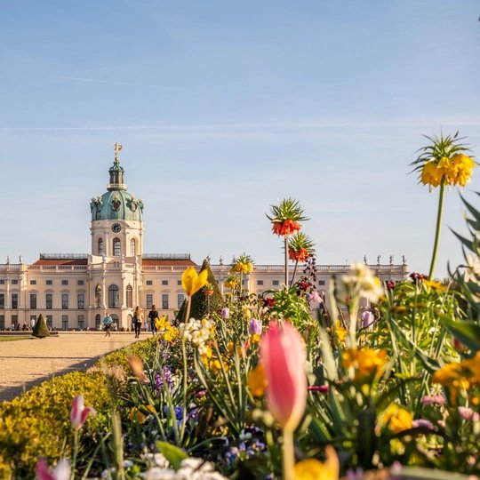Der Park vom Schloss Charlottenburg im Frühling. Im Hintergrund sieht man Schloss Charlottenburg, im Vordergrund blühen Tulpen und andere Blumen