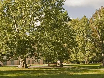 Veranstaltungen in Berlin: Baumpflege und Klimawandel im Schlossgarten Schönhausen