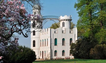 Blühende Tulpenmagnolien am Schloss Pfaueninsel in Berlin