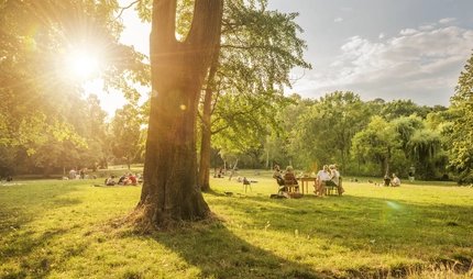 Volkspark Friedrichshain Berlin im Sommer